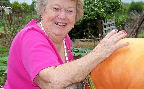 Grandmother Daph Pullen with a pumpkin she is entering in this weekend’s Killarney Show. Grandmother Daph Pullen with a pumpkin she is entering in this weekend’s Killarney Show.